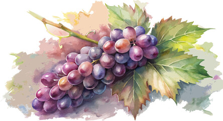 watercolor illustration of ripe grape branch with vibrant leaves and natural artistic touch