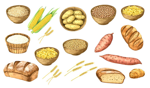 Collection of hand-drawn staple foods: rice, wheat, corn, potatoes, beans, pasta, bread, oats, cassava, sweet potatoes​​​​​​​​​​​​​​​​. Watercolor, PNG 