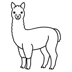 Modern Alpaca Outline Design