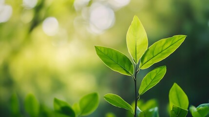 Vivid green leaves bathed in sunlight creating a fresh and lively atmosphere in nature : Generative AI