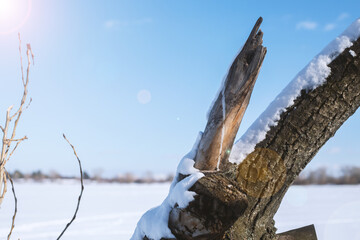 Winter landscape on a sunny day