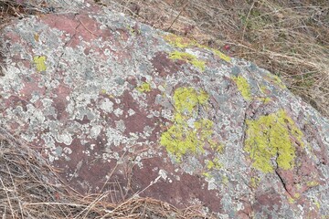 Mossy stained rocks in Flagstaff mountain, Boulder, Colorado 