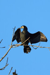 prendo il sole