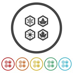 Four seasons icon. Set icons in color circle buttons