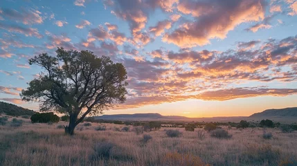 Papier peint photo  Majestic Sunset Landscape Serene Prairie Tree Silhouette Peaceful Golden Hour Dramatic Sky Vibrant Colors Breathtaking Nature Scenic View Tranquil      © Harry