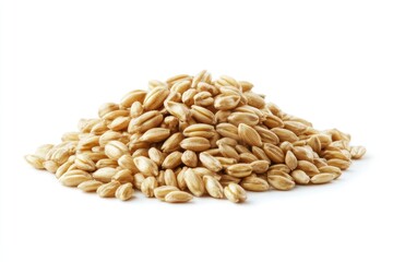 A pile of raw spelt grains sits on a white background