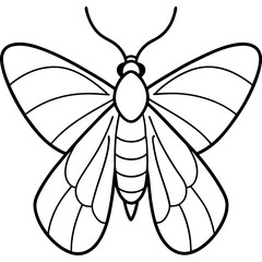 Mystic Moth Linework