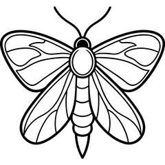 Mystic Moth Linework