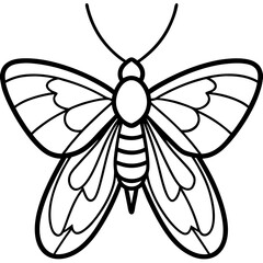 Mystic Moth Linework