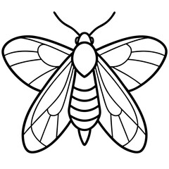 Mystic Moth Linework