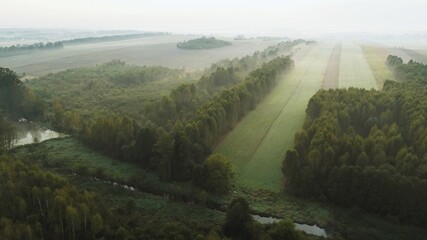 Misty autumn morning with vibrant forest and fields