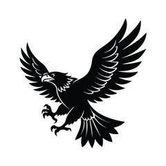 Obraz premium eagle in flight