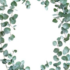 Obraz premium Eucalyptus Leaves Frame PNG Against Transparent Background for Greenery Border, Botanical Design, or Nature-Inspired Artwork