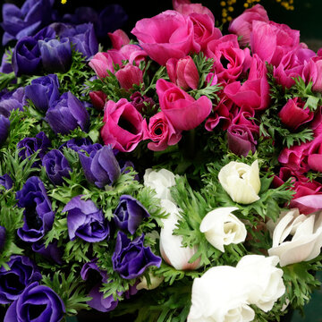 Paris, France. Europe  Flower stall selling spring flowers. Lisianthus in many colors.