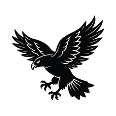 eagle vector illustration