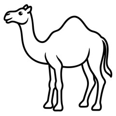 Nomadic Camel Vector