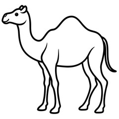 Nomadic Camel Vector