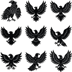 Obraz premium set of black wings