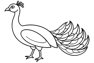 Peacock Silhouette Art