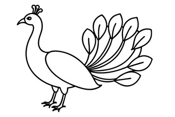 Peacock Silhouette Art