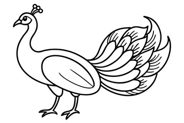 Peacock Silhouette Art