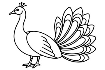 Peacock Silhouette Art