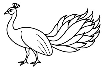 Peacock Silhouette Art