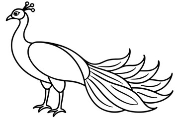 Peacock Silhouette Art