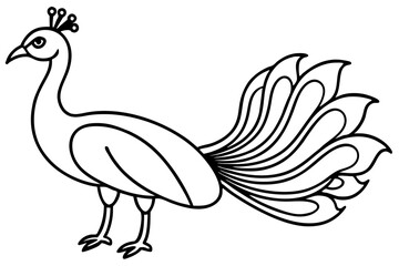 Peacock Silhouette Art