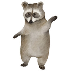 watercolor raccoon © Je
