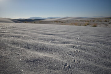 footprints in the sand