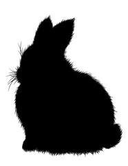 Isolated hand drawn silhouette of a sitting fluffy bunny on a white background