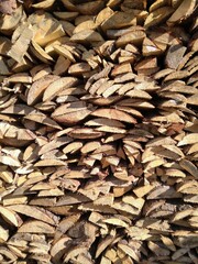 pile of firewood