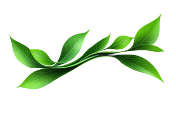 Green leaves arranged in a flowing pattern