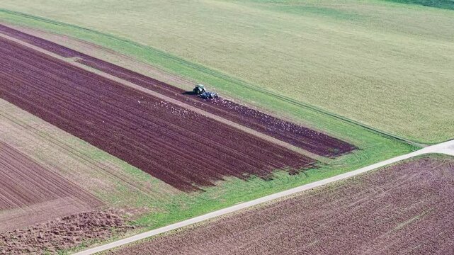 Bauer pfl&uuml;gt ein Feld, Vogelscharen begleiten den Traktor