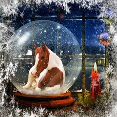 Pinto Mustang Resting in a Snow Globe