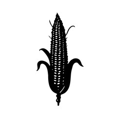 Monochrome Corn Cob Illustration Silhouette