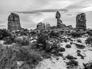 markante Hoodies in der Landschaft