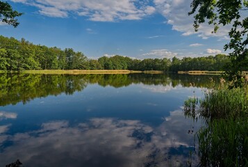 Fototapeta premium Fabulous views of untouched wild nature and a magical lake at morning. German lake with great views.