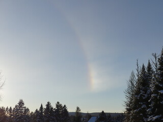 Winter Wonderland​