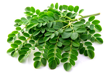 Moringa leaves isolated on white background. (Moringa oleifera). Generative AI