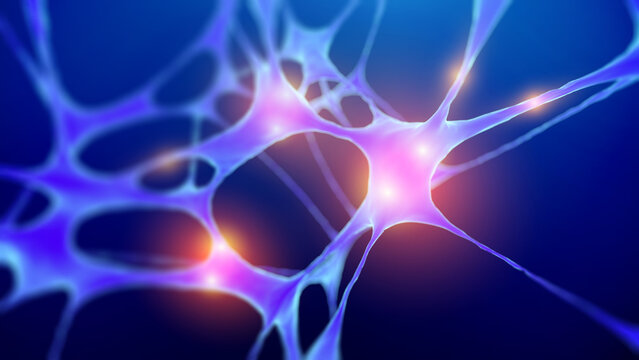 Human Neuron structure and Anatomy science background. Exploring Neurons brain and Synapse. Artificial neurons Scientific background