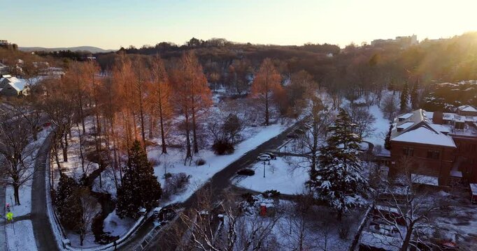 Winter Aerial Of The Arnold Arboretum at Sunset