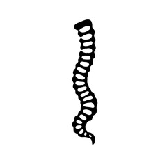 Stylized Spinal Column Silhouette Illustration