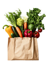 shopping bag with vegetables