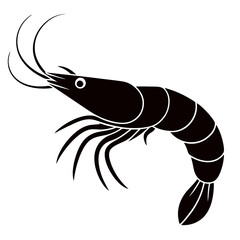 fish on a white background