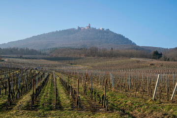 Bergheim is a French commune with 2066 inhabitants in the Haut-Rhin department in the Grand Est...
