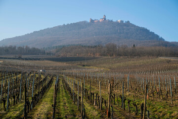 Bergheim is a French commune with 2066 inhabitants in the Haut-Rhin department in the Grand Est...