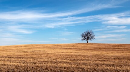 Obraz premium Solitary tree on a golden field under a bright blue sky showcasing serene nature beauty : Generative AI