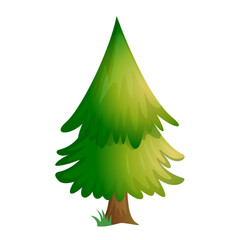 Vector illustration Realistic Tree. Vector 3d Tree. Evergreen tree for Also Cristmas Decor on white background.
